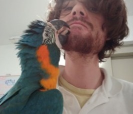 Physical Causal Cognition in Parrots